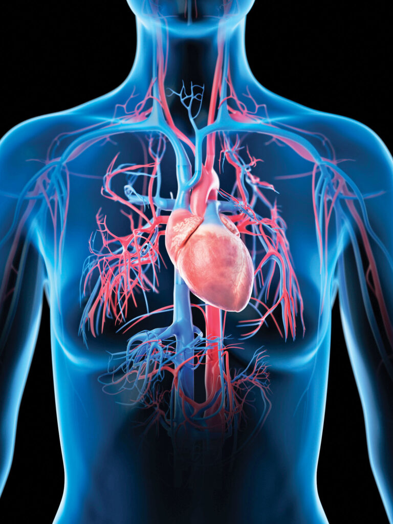 Image of a women’s heart at risk and under stress. 